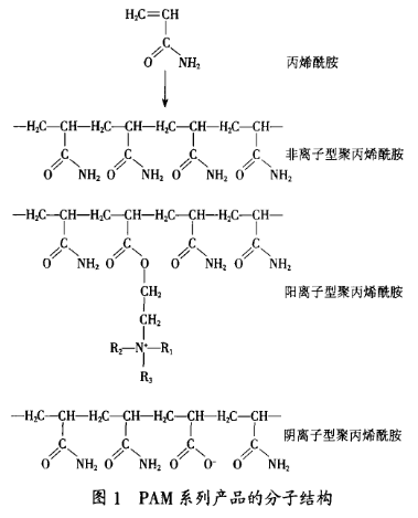 圖1為PAM系列產品的分子結構