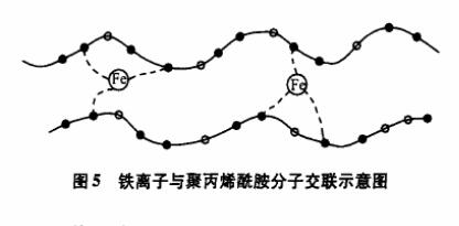 圖5鐵離子與聚丙烯酰胺分子交聯示意圖