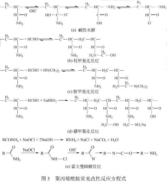 圖3 聚丙烯酰胺常見改性反應方程式