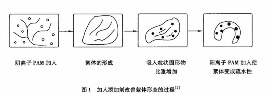 圖1 加入添加劑改善絮體形態的過程