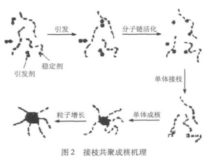 圖2 接枝共聚成核機理