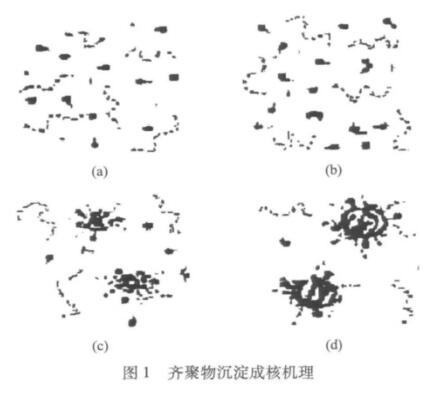 圖1 齊聚物沉淀成核機理