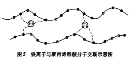 圖5鐵離子與聚丙烯酰胺分子交聯示意圖